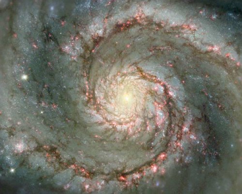 Die Whirlpoolgalaxie